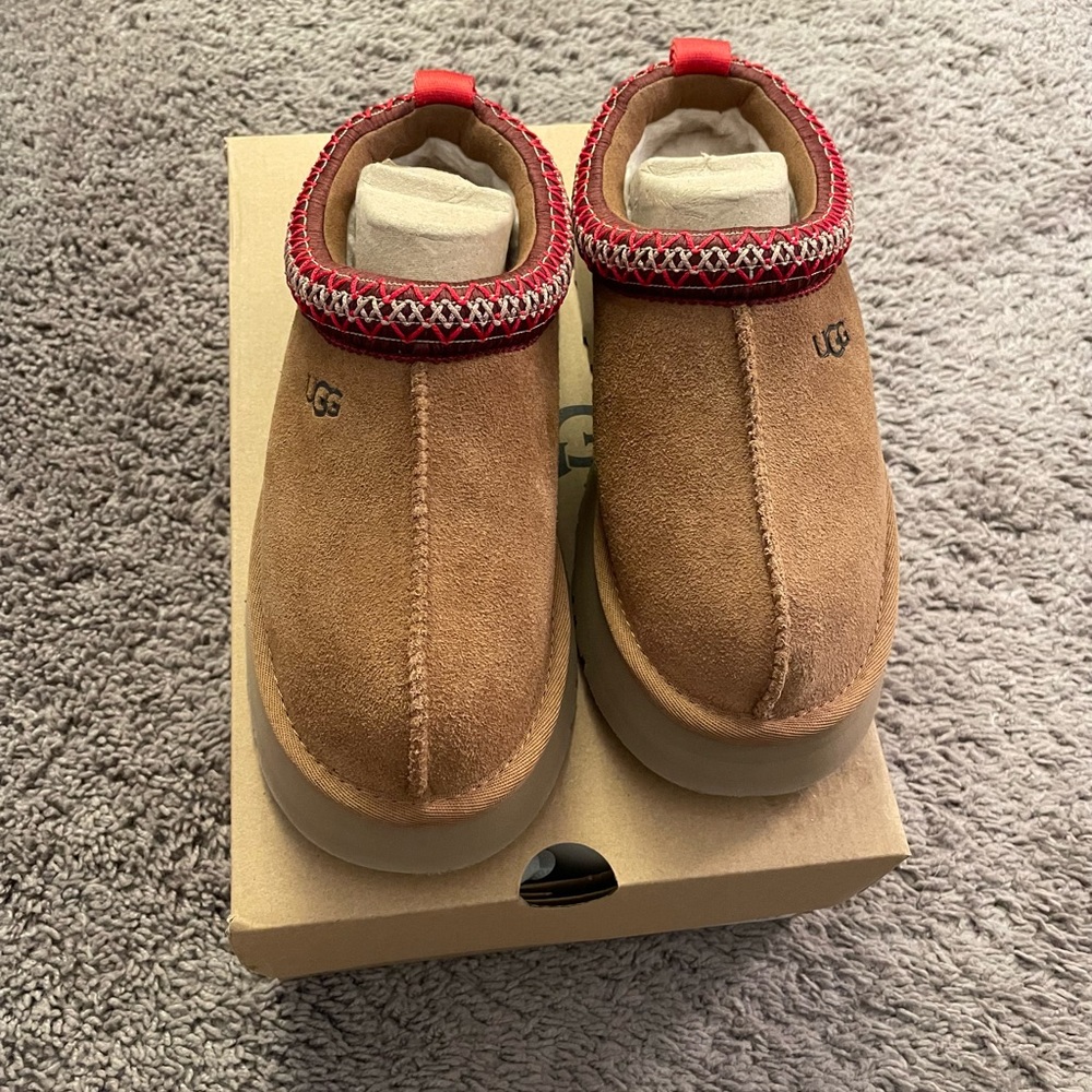 NWT W TAZZ SLIP ON UGGS